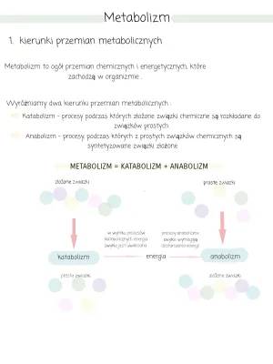 Podstawowe zasady metabolizmu - procesy metaboliczne i przemiany ATP