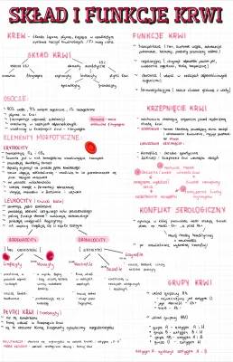 Wszystko o Krwi: Skład, Funkcje i Grupy Krwi