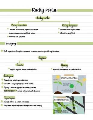 How Plants React to the World: Fun Movements and Light Tricks