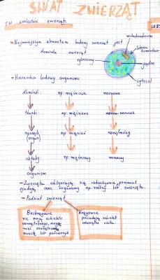 Klasyfikacja zwierząt - przykłady systematyki i podziału kręgowców i bezkręgowców