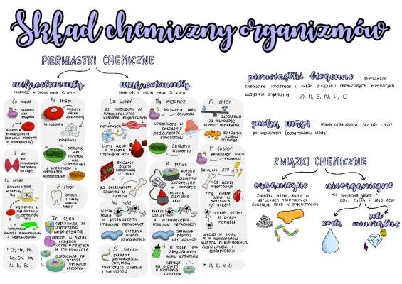 Skład Chemiczny Organizmów - Notatka z Biologii Rozszerzonej dla Klasy 1 Liceum