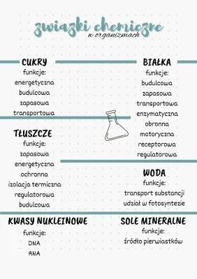 Skład chemiczny organizmów: białka, cukry, tłuszcze i sole mineralne dla klasy 5