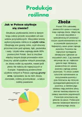 Struktura użytkowania ziemi w Polsce - Użytki rolne i powierzchnia gospodarstw