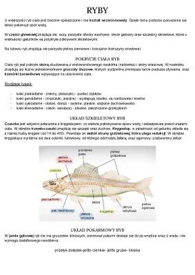 Budowa, Rozmnażanie i Znaczenie Ryb: Biologia dla Klasy 2