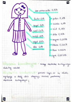 Skład chemiczny organizmów klasa 1 liceum - Biologia rozszerzona notatka