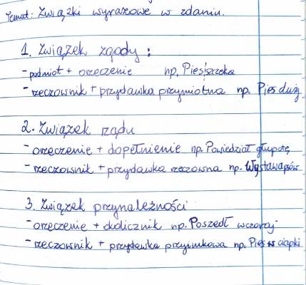 Związki wyrazowe w zdaniu - przykłady i ćwiczenia dla klas 5 i 6