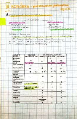 Budowa Komórki Eukariotycznej i Prokariotycznej - Notatki Nowa Era