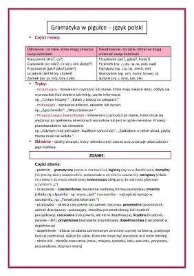 Gramatyka języka polskiego - pdf, ćwiczenia, podstawy, książka, online