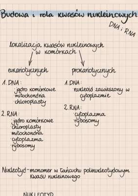 Budowa i Funkcje DNA i RNA: Zasady Komplementarności i Etapy Replikacji