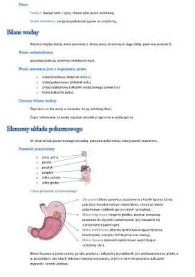 How Your Body Uses Fluoride, Digestive Glands, and Gut Walls