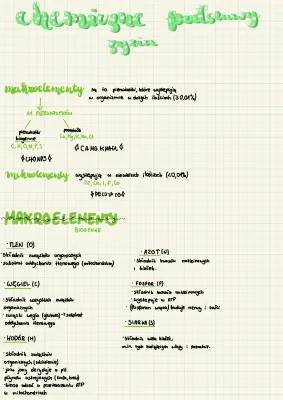 Makro i mikroelementy - biologia i znaczenie w organizmie