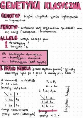 Co to są prawa Mendla i jak wyglądają genotyp i fenotyp?