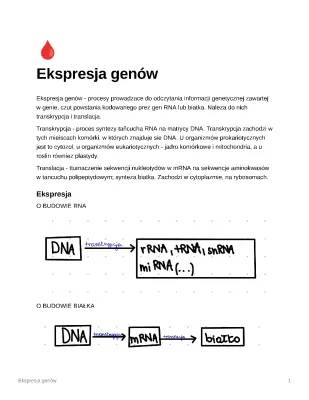 Etapy Ekspresji Genów: Transkrypcja i Translacja