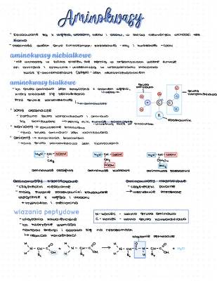 Czy aminokwasy to białka? Rodzaje, podział i właściwości aminokwasów