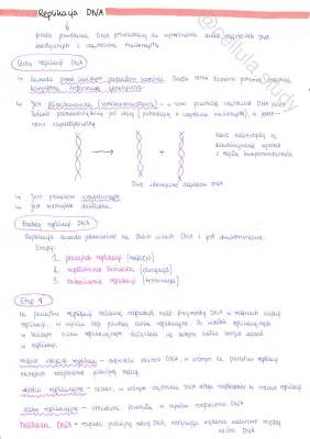 Replikacja DNA - Etapy i Znaczenie
