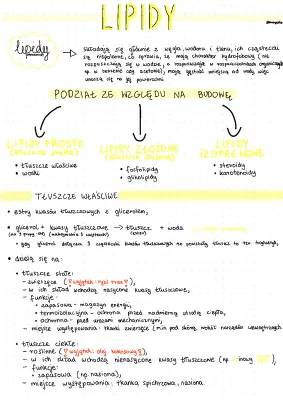 Czym są lipidy? Proste i złożone, ich budowa i funkcje!