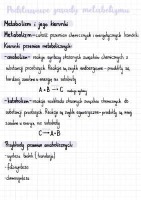 Zasady Metabolizmu: Anabolizm i Katabolizm dla Dzieci