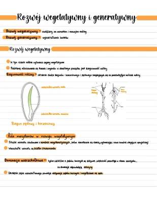 Rozwój wegetatywny i generatywny roślin - Notatka i Prezentacja dla Klasy 2