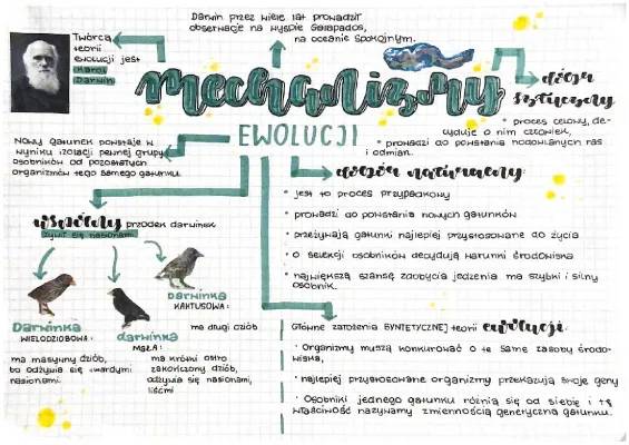 Teoria Ewolucji Darwina i Syntetyczna - Na Czym Polega?