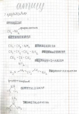 Explorando las Aminas: Nombres y Estructura