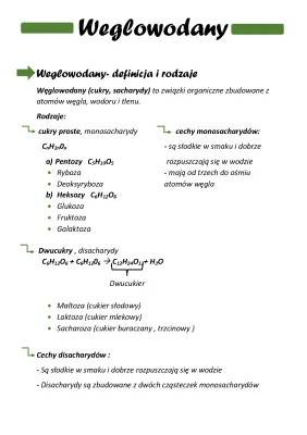 What Are Carbs and Proteins: Simple and Complex Explained