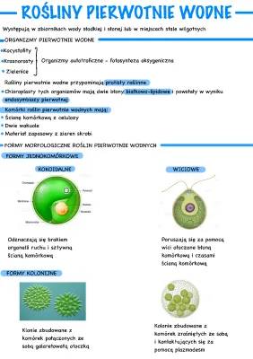 Rośliny pierwotnie wodne i ich endosymbioza - Test, Budowa, Glony, Krasnorosty