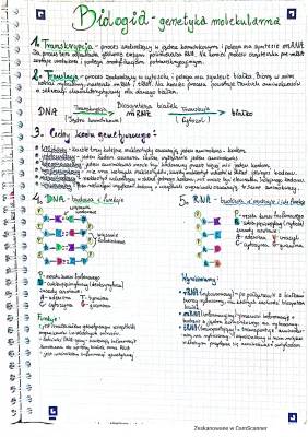 Transkrypcja i Translacja DNA i RNA - Budowa i Funkcje