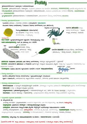 Protisty notatka rozszerzenie - klasa 5, przykłady jednokomórkowe i wielokomórkowe