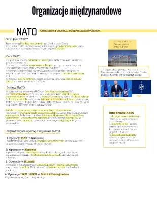 NATO: Co to znaczy i ile państw?