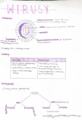 Rozszerzony test i quiz o wirusach: Budowa, rodzaje, infekcje
