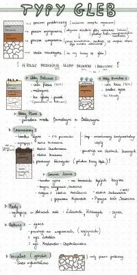 Why Soil Bleaching in Poland is Cool: Types of Soil and Their Secret Powers