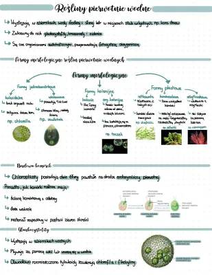 Test i Notatka: Rośliny Pierwotnie Wodne
