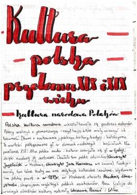 O polskiej kulturze XIX i XX wieku: praca organiczna w pozytywizmie i Henryk Sienkiewicz