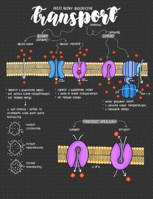 Jak działa dyfuzja i transport przez błony komórkowe - Prosta i ułatwiona dyfuzja dla dzieci