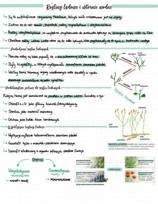 Rośliny lądowe i wtórnie wodne - Notatka PDF, Zadania Maturalne, Testy