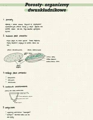 Porosty: Rodzaje, Budowa i Znaczenie - Atlas dla Dzieci