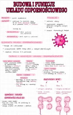 Układ immunologiczny dla dzieci: Komórki i narządy, odkryj z Wikipedią i BiologHelp!