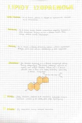 Lipidy izoprenowe, Lipidy we Krwi, Karotenoidy i Cholesterol - Prosty Podział i Znaczenie