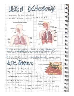 układ oddechowy i krwionośny 