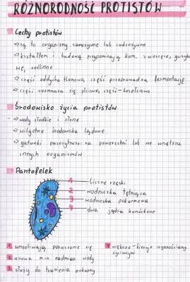 Protisty: Ciekawe Fakty o Ich Różnorodności, Cechach i Znaczeniu w Ekosystemach