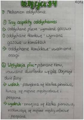 Jak działa mechanizmy wentylacji płuc i oddychanie w komórkach?