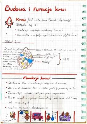 How Blood Works: Heart and Blood Vessels