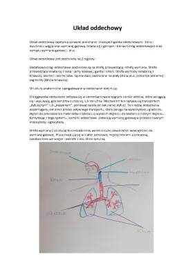 Budowa i Funkcje Układu Oddechowego w Punktach