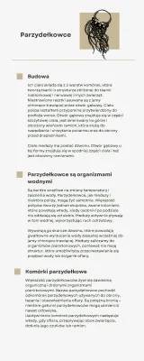 Budowa i Znaczenie Parzydełkowców - Polip, Meduza i Komórki Parzydełkowe