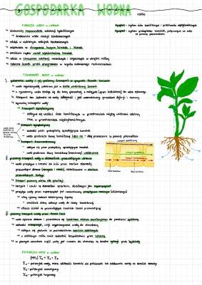 Transport i Gospodarka Wodna Roślin - Proste Objaśnienie