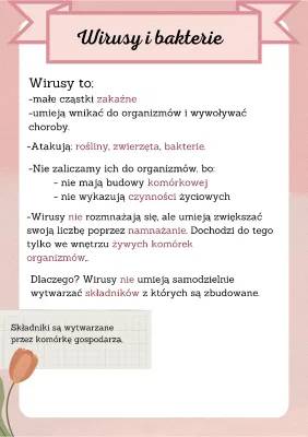 Wirusy vs. Bakterie: Jak się Różnią i Jakie Choroby Wywołują?