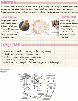 Biologia rozszerzona: Grzyby - Matura książki, arkusze PDF, rozmnażanie płciowe i bezpłciowe