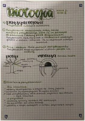 Cool Parasite Stamps for Kids and Tapeworm Cycle Fun