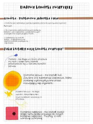 Budowa komórki zwierzęcej klasa 5 - Składniki, funkcje i quiz