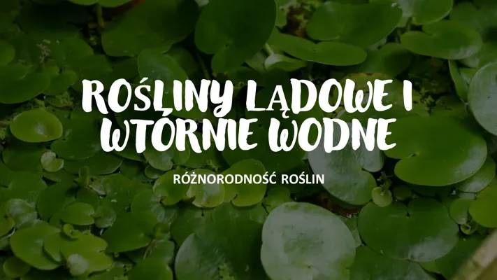 Fascynujący świat roślin: różnorodność lądowych i wodnych oraz ich cykle życia